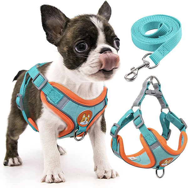 Adjustable Step-In Dog Harness with Reflective Safety Vest