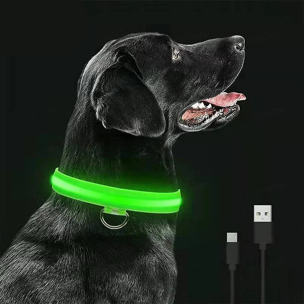 LED USB Rechargeable Dog Collar - 3 Light Modes Safety Collar