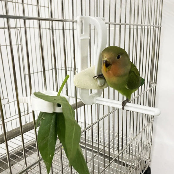 Bird Feeder Clip - Parrot Food Holder for Fruits & Vegetables