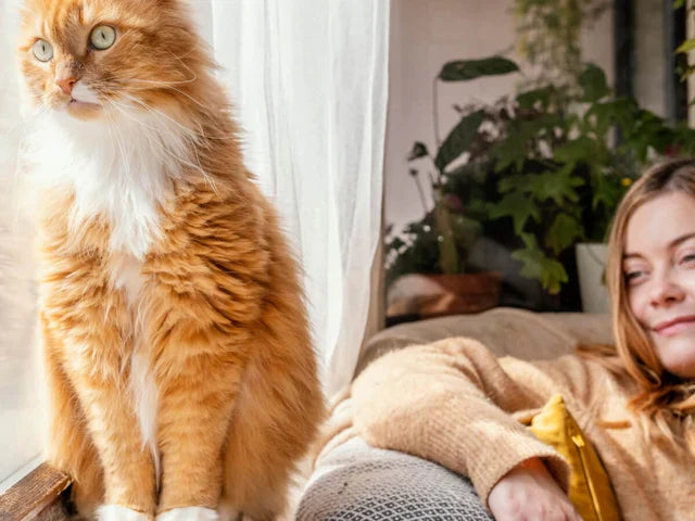 Everything You Need to Know About Cat Scratch Fever in 2026