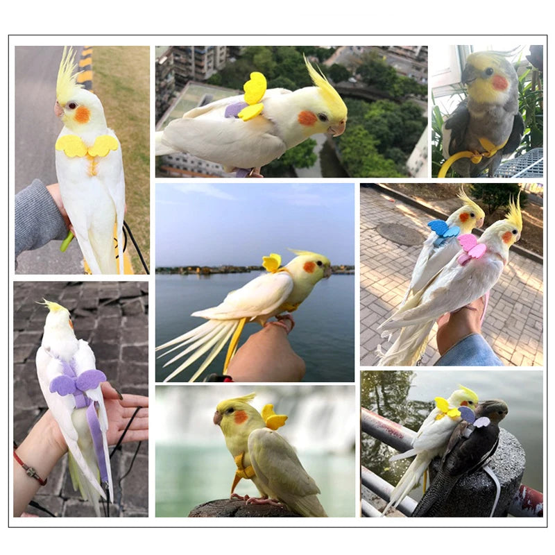 Adjustable Parrot Bird Harness & Leash Set - Anti-Bite Training Harness