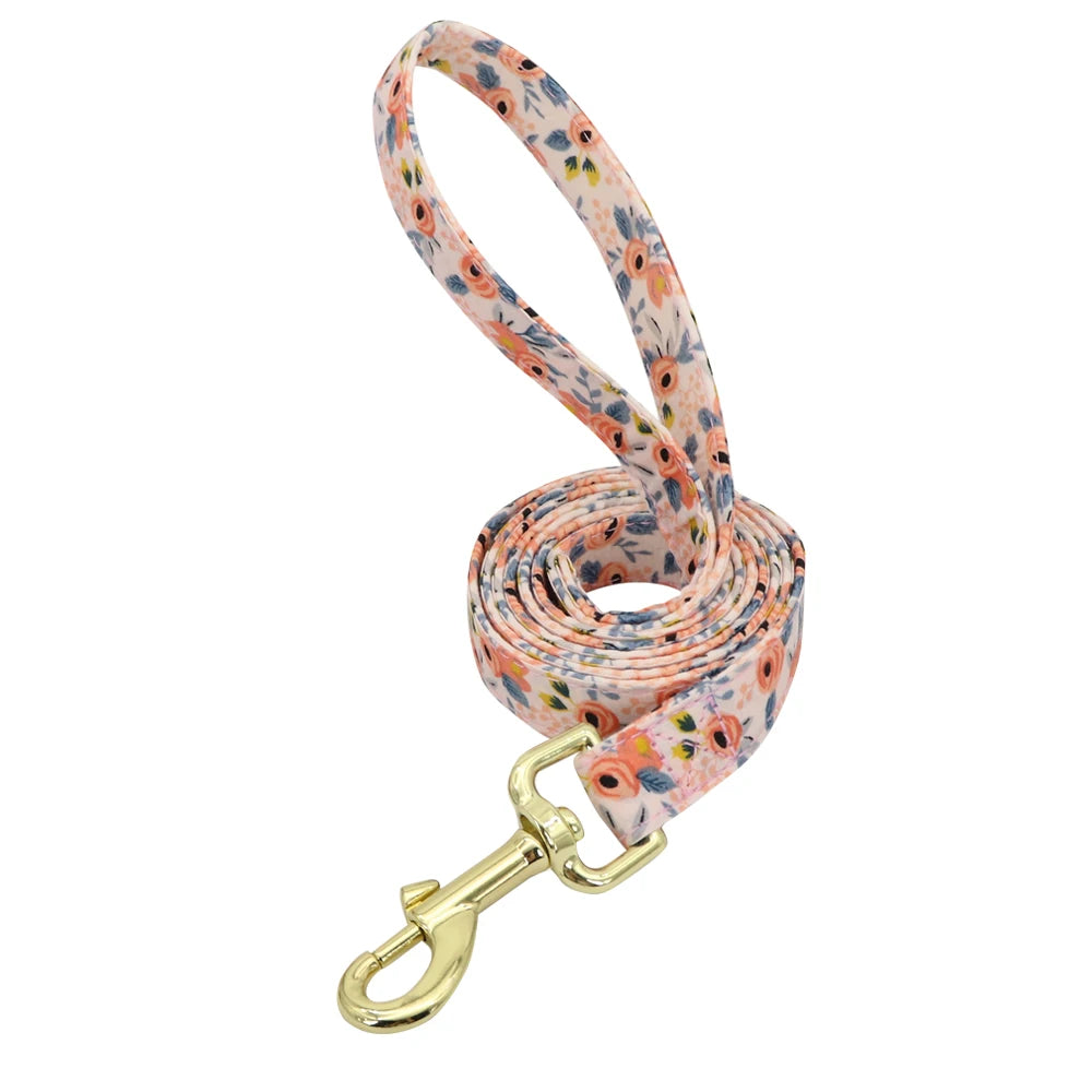 Personalized Dog Collar and Leash Set - Custom Engraved ID Collar