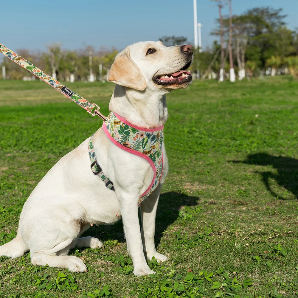 Floral Print Dog Harness and Leash Set - Adjustable Padded Vest for Small to Large Dogs