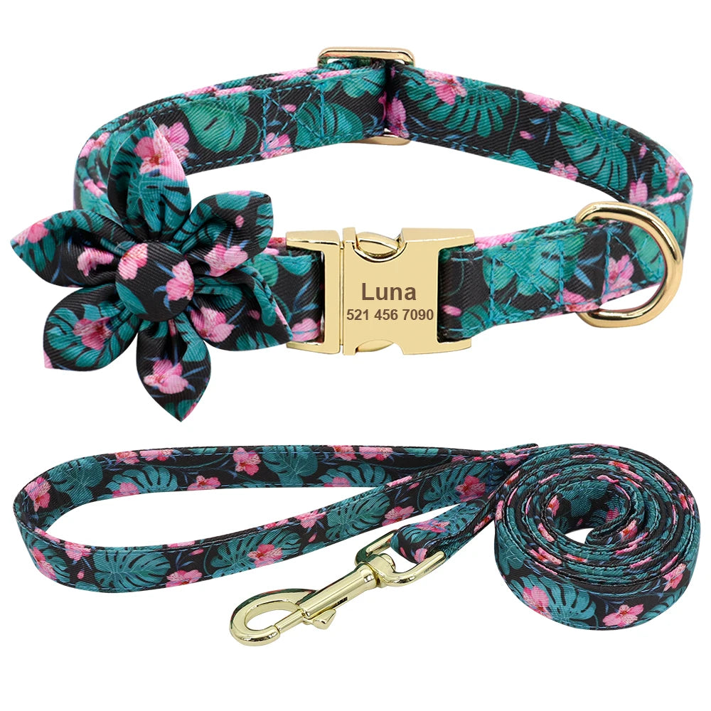 Personalized Dog Collar and Leash Set - Custom Engraved ID Collar