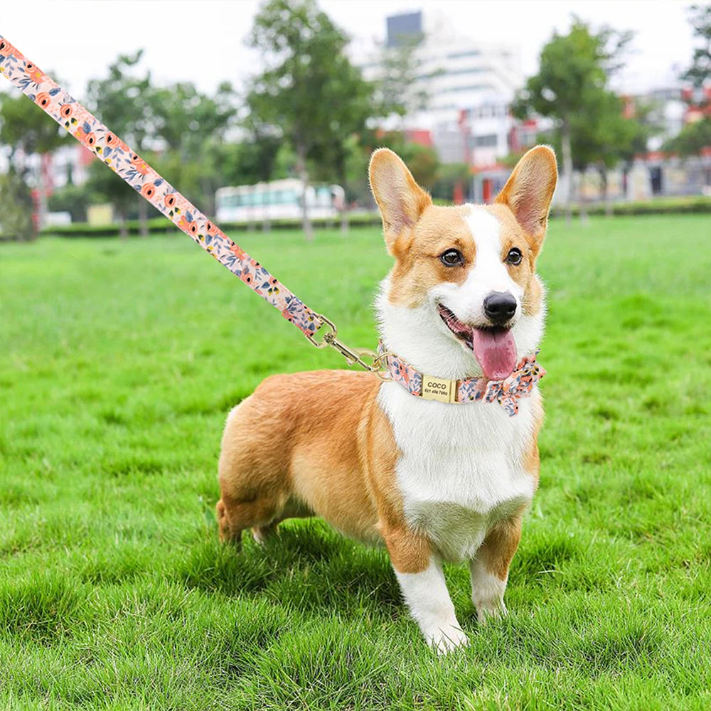 Personalized Dog Collar and Leash Set - Custom Engraved ID Collar