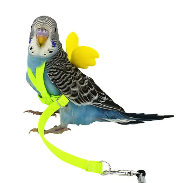 Adjustable Parrot Bird Harness & Leash Set - Anti-Bite Training Harness