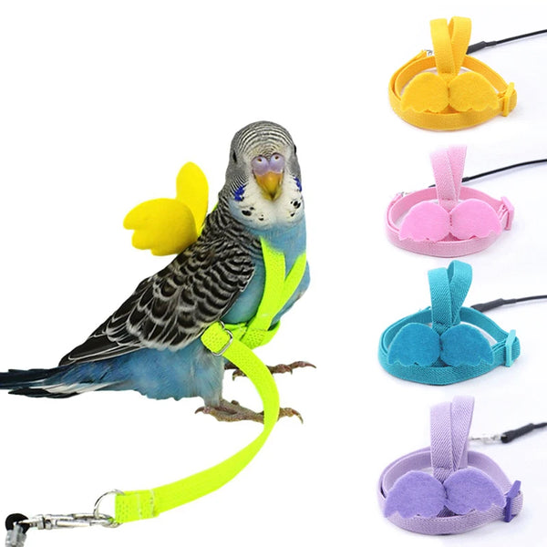 Adjustable Parrot Bird Harness & Leash Set - Anti-Bite Training Harness