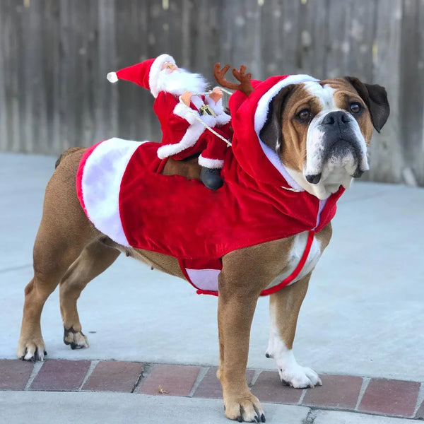 Christmas Santa Pet Costume - Festive Holiday Outfit for Dogs & Cats