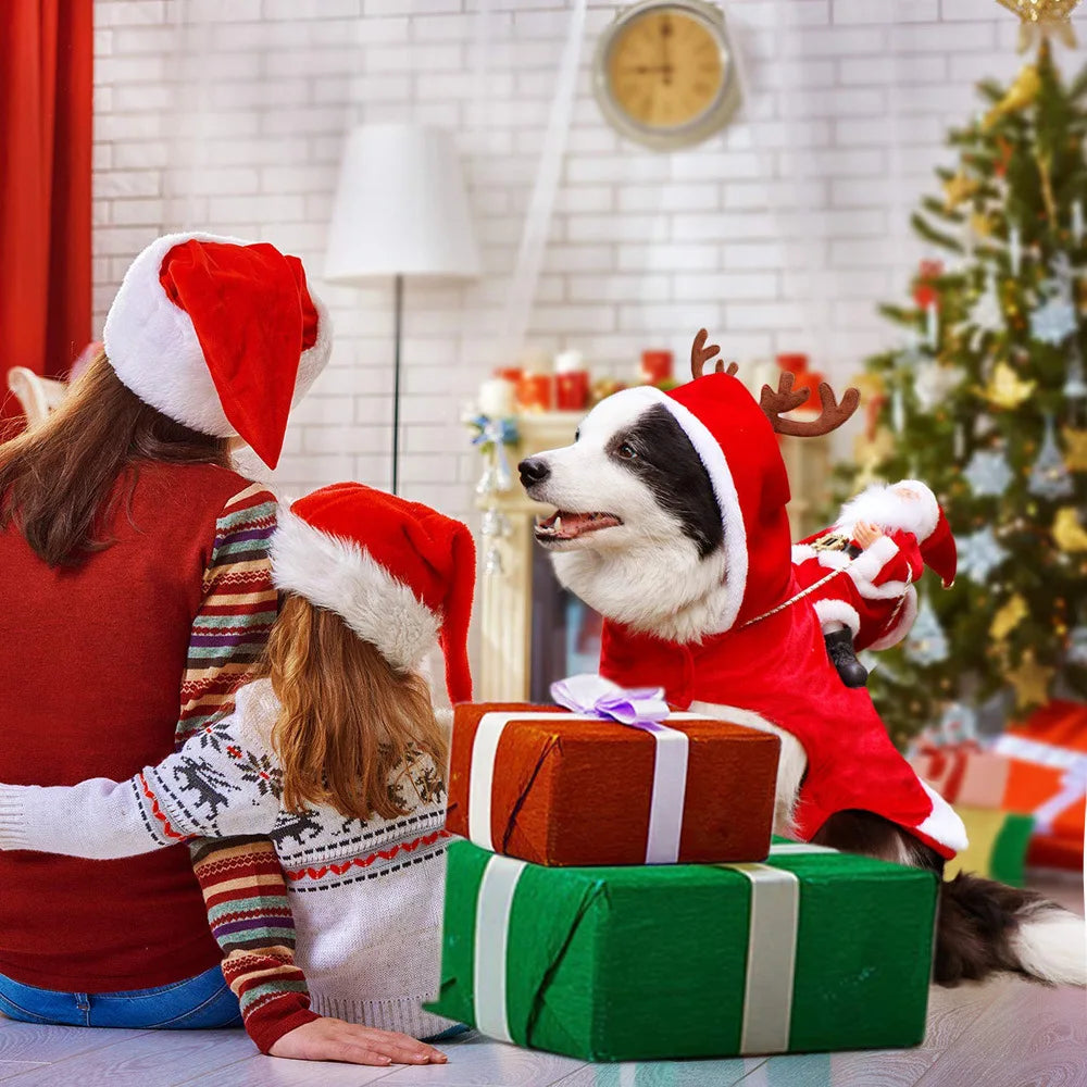 Christmas Santa Pet Costume - Festive Holiday Outfit for Dogs & Cats