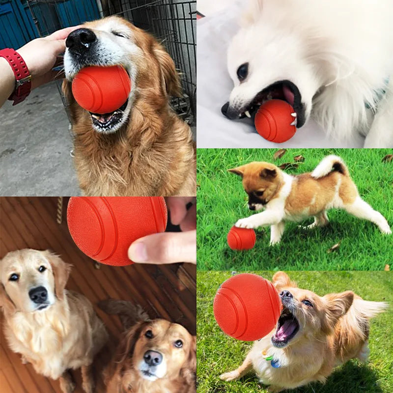 Durable Rubber Ball Dog Toy - Bite-Resistant Fetch Toy for Small to Large Dogs