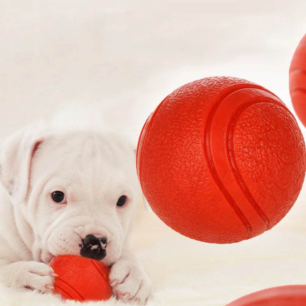Durable Rubber Ball Dog Toy - Bite-Resistant Fetch Toy for Small to Large Dogs