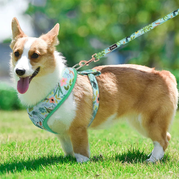 Floral Print Dog Harness and Leash Set - Adjustable Padded Vest for Small to Large Dogs