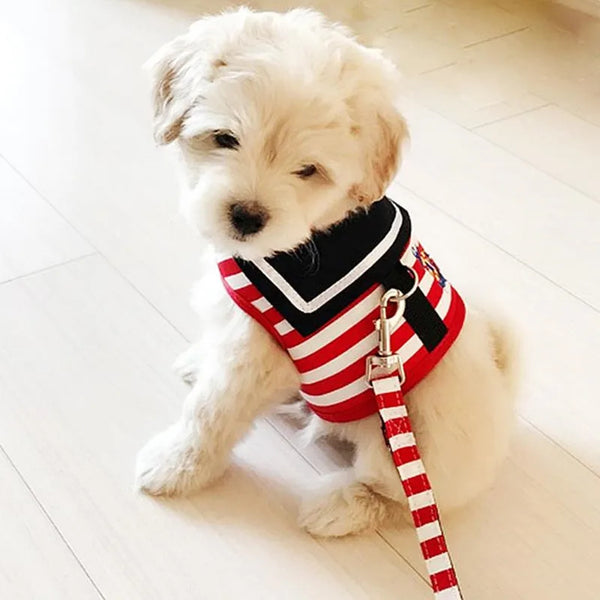 Navy Style Dog Harness & Leash Set - Adjustable Vest Harness for Small to Medium Dogs & Cats