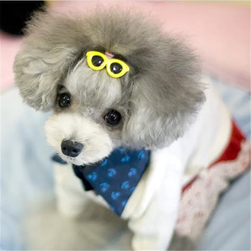 Pet Heart Sunglasses & Hair Accessories Set