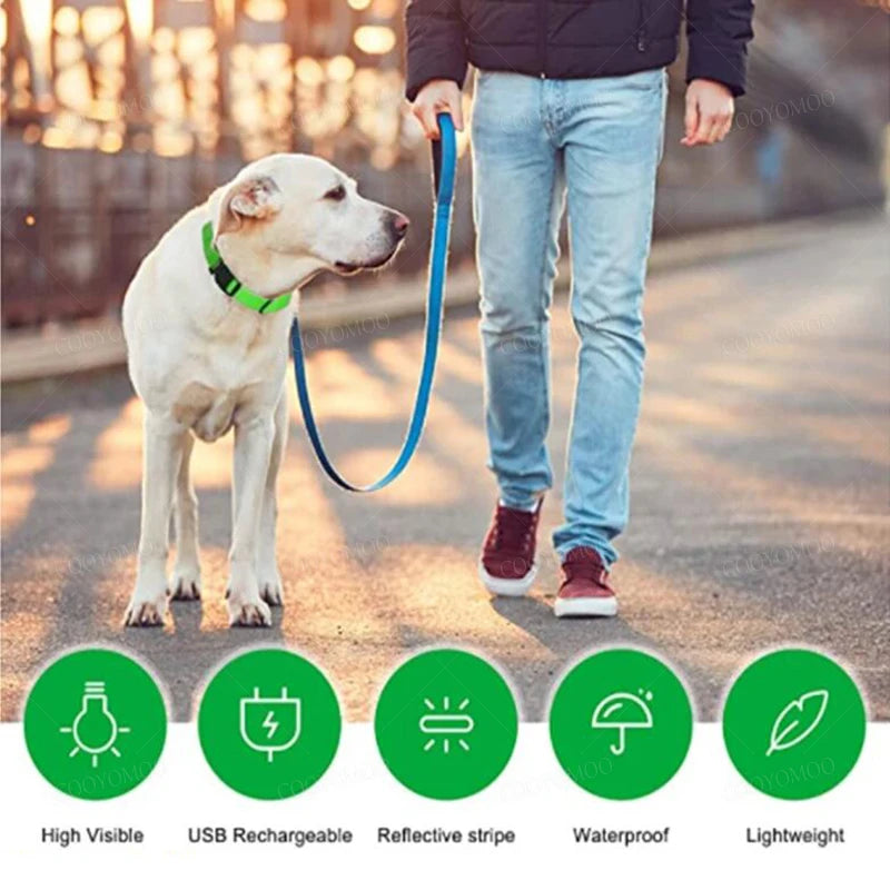 LED USB Rechargeable Dog Collar - 3 Light Modes Safety Collar