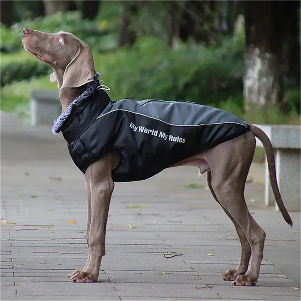 Winter Dog Coat with Fur Collar - Warm Jacket for Large Dogs