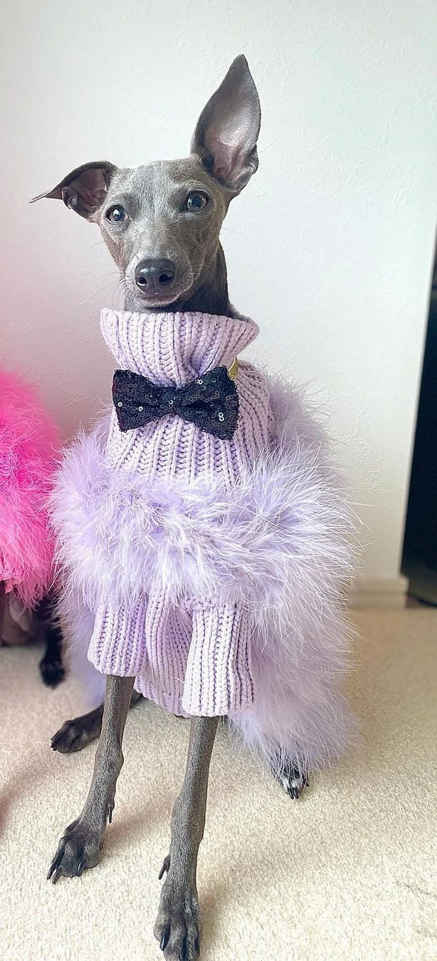Cozy Dog Sweater - Warm Autumn & Winter Pet Apparel