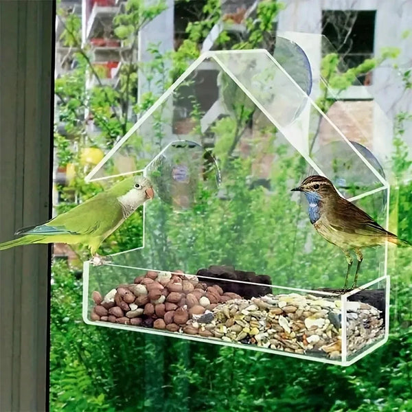 Clear Acrylic Window Bird Feeder with Suction Cups - Outdoor Wildlife Viewing