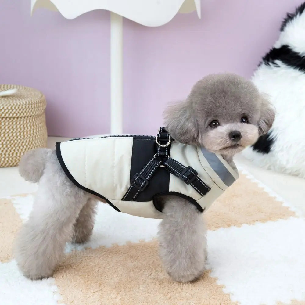 Waterproof Dog Winter Jacket - Adjustable Padded Coat with Reflective Strips
