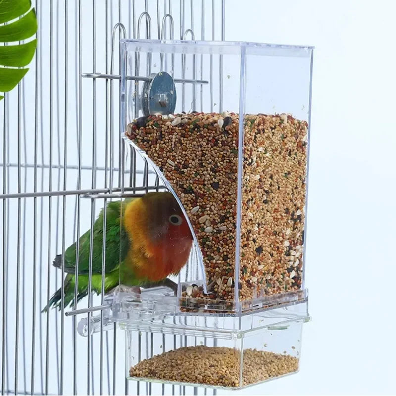 Automatic Bird Feeder with Anti-Splash Design for Parakeets