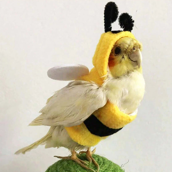 Parrot Bee Costume - Soft Cotton Hoodie for Small Birds