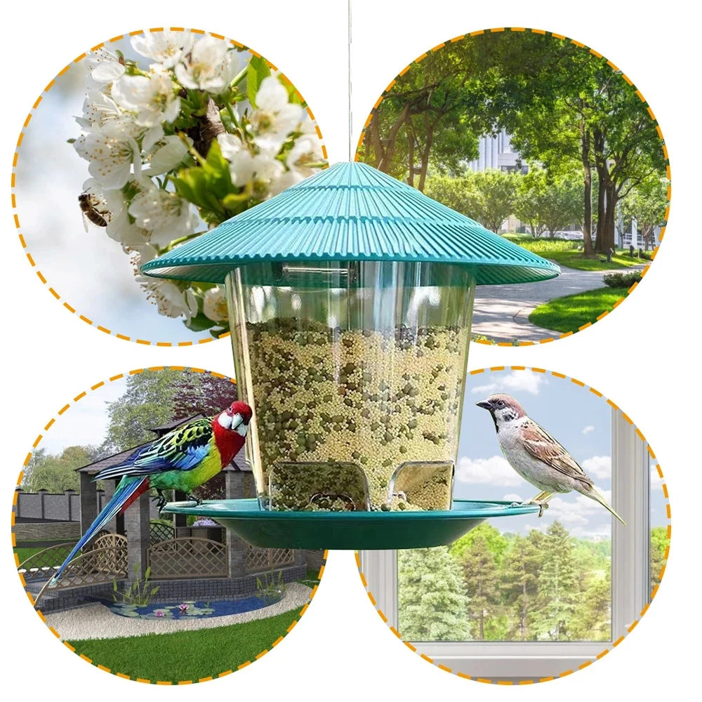 Automatic Bird Feeder - Outdoor Hanging Seed & Nut Dispenser
