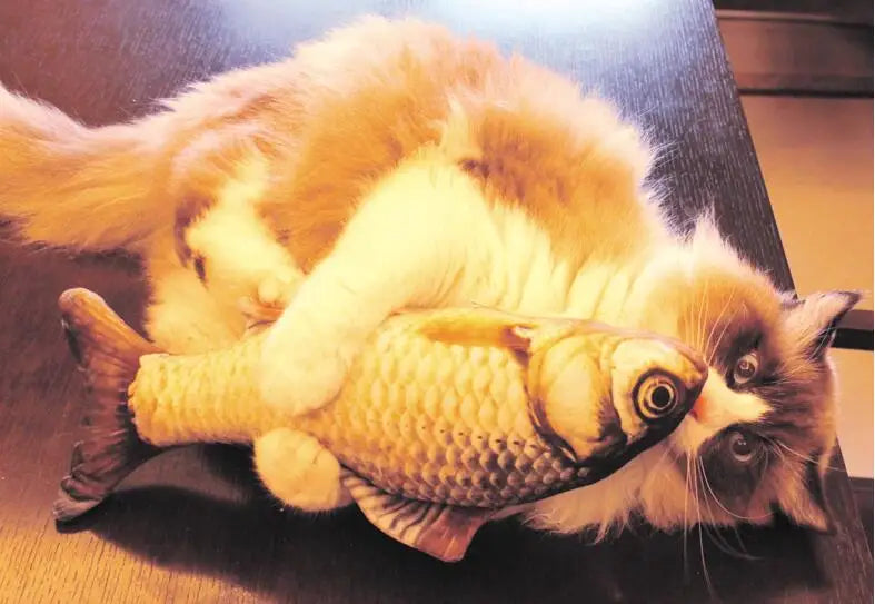 Premium Plush Fish Cat Toy with Scratch Board - 20cm