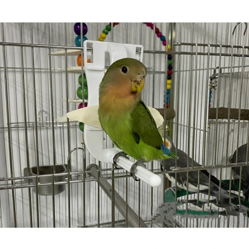 Bird Feeder Clip - Parrot Food Holder for Fruits & Vegetables