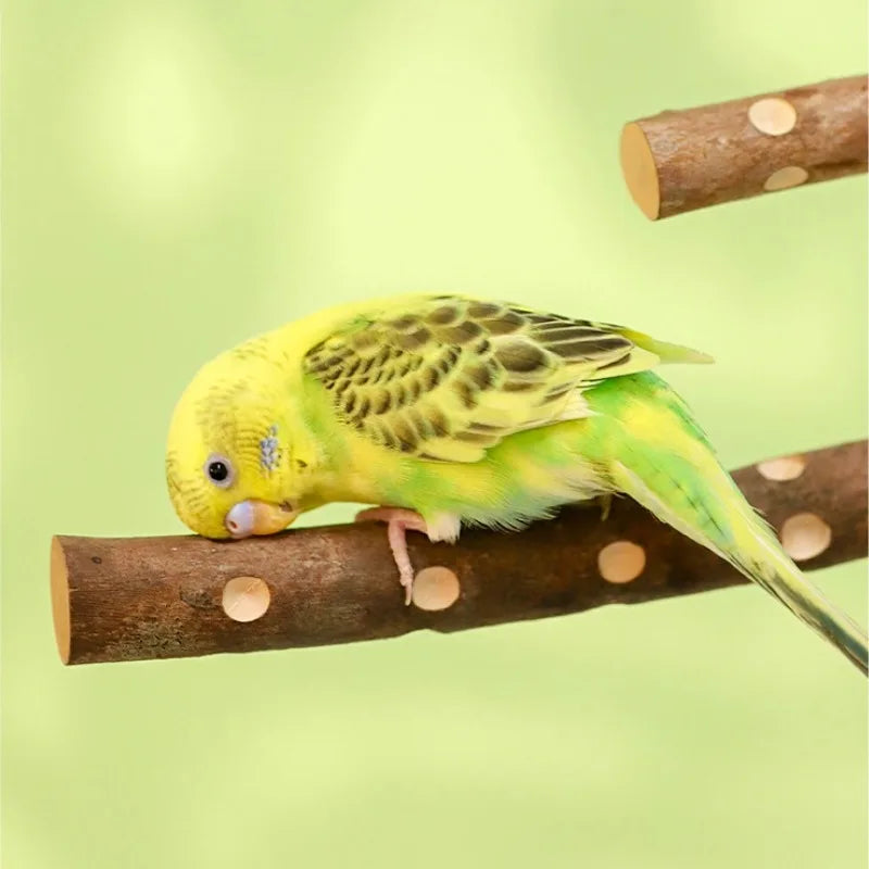 Natural Wood Bird Perch Stand - Paw Grinding Branch for Parakeets, Budgies & Cockatiels