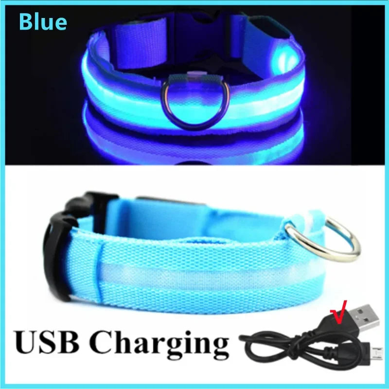 LED USB Rechargeable Dog Collar - 3 Light Modes Safety Collar