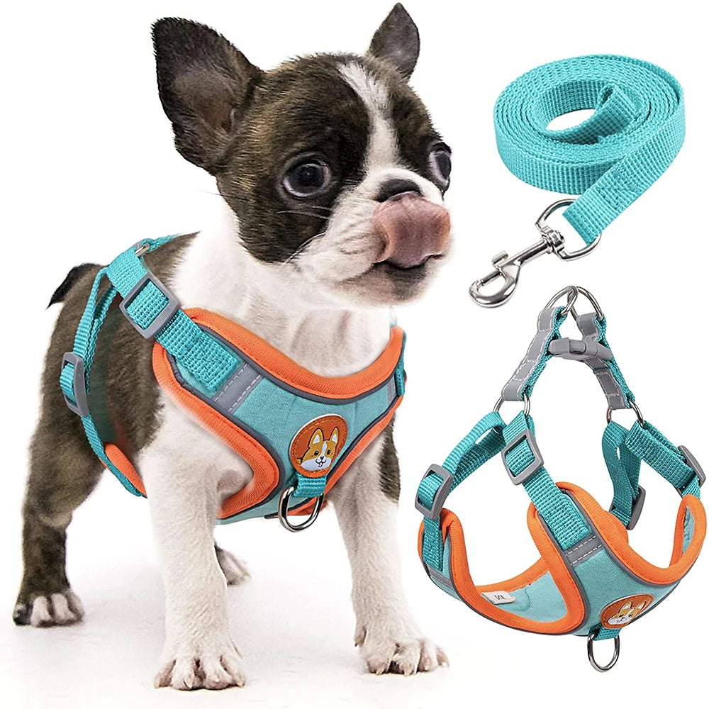 Adjustable Step-In Dog Harness with Reflective Safety Vest