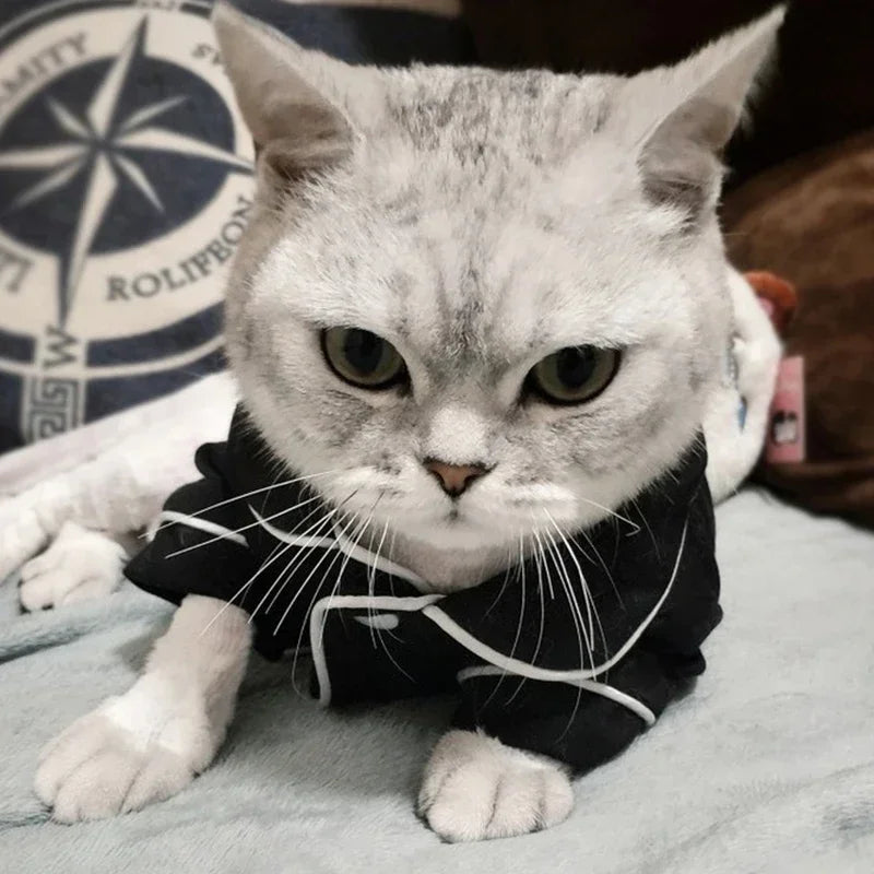 Christmas Pet Cat Hoodie Costume - Winter Sweatshirt for Cats