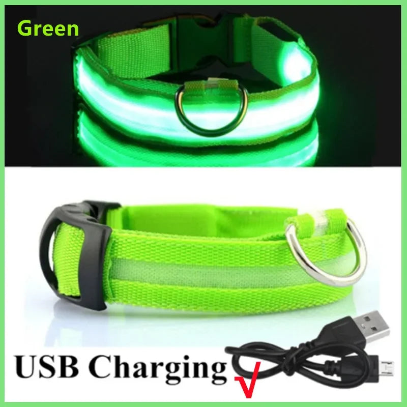 LED USB Rechargeable Dog Collar - 3 Light Modes Safety Collar