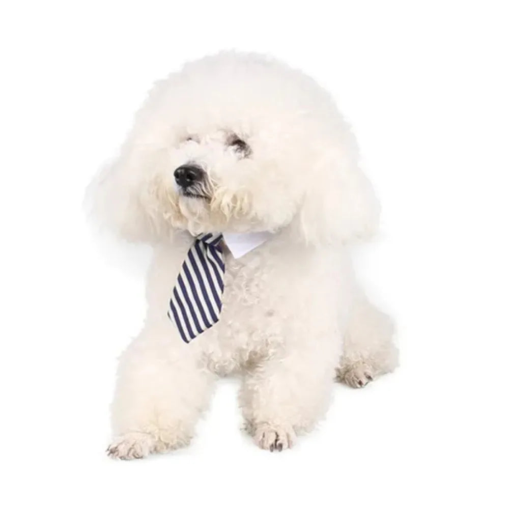 Adjustable Pet Bow Tie Collar for Dogs and Cats