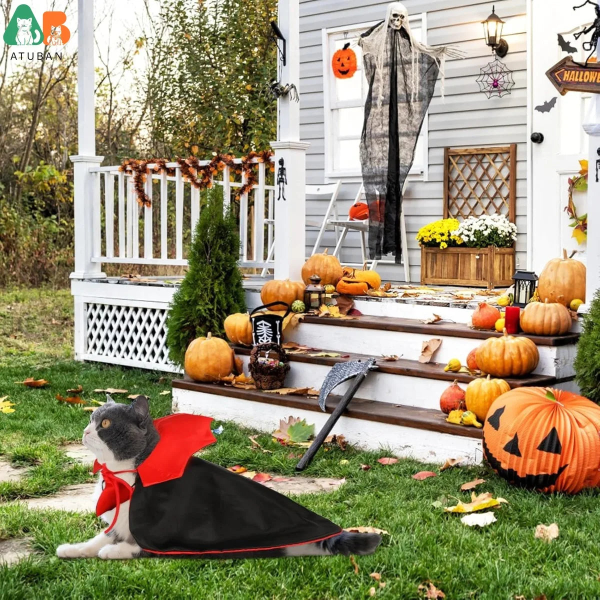 Pet Vampire Cape Costume for Cats and Small Dogs
