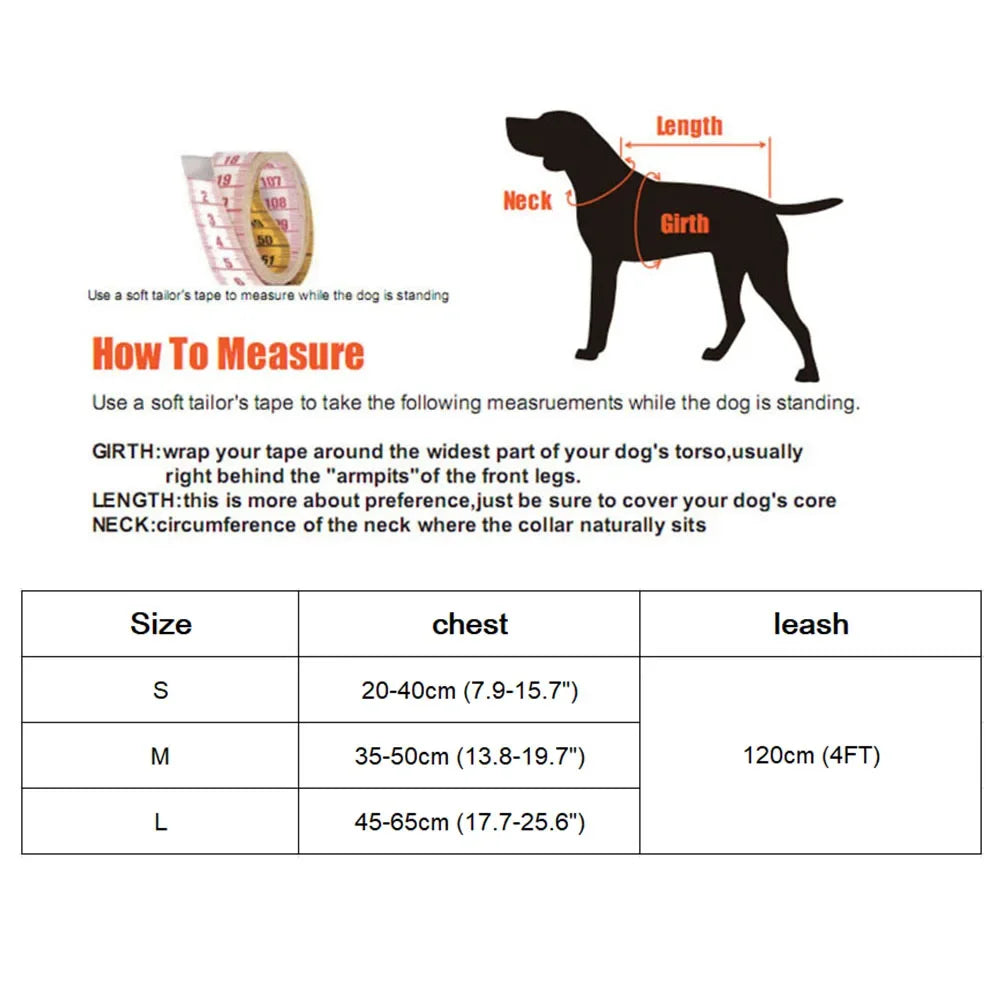 Premium Mesh Cat & Dog Harness with Leash Set