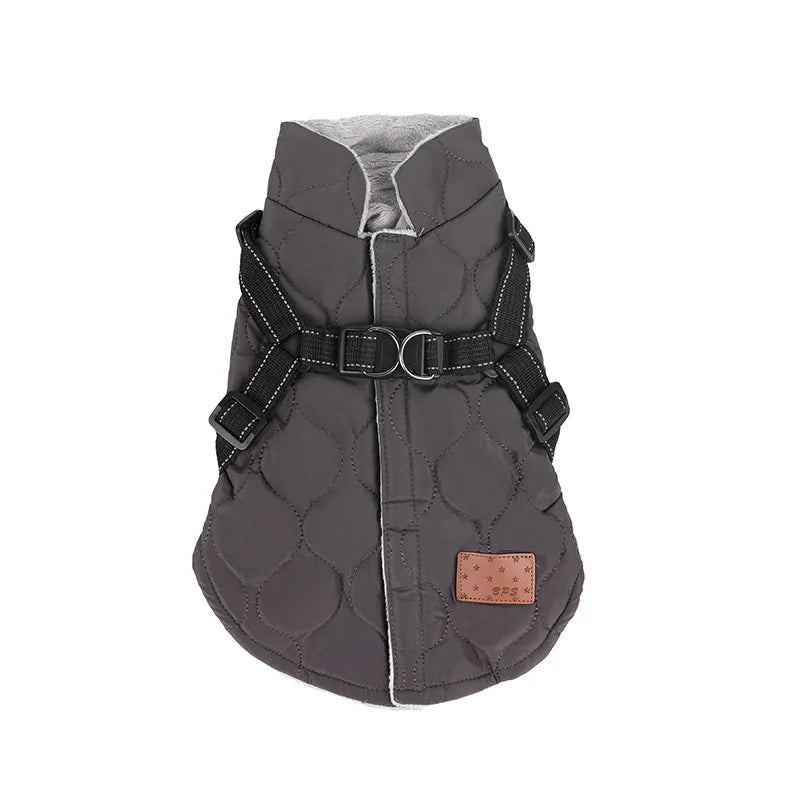 Windproof Winter Dog Coat - Padded Jacket for Small Dogs