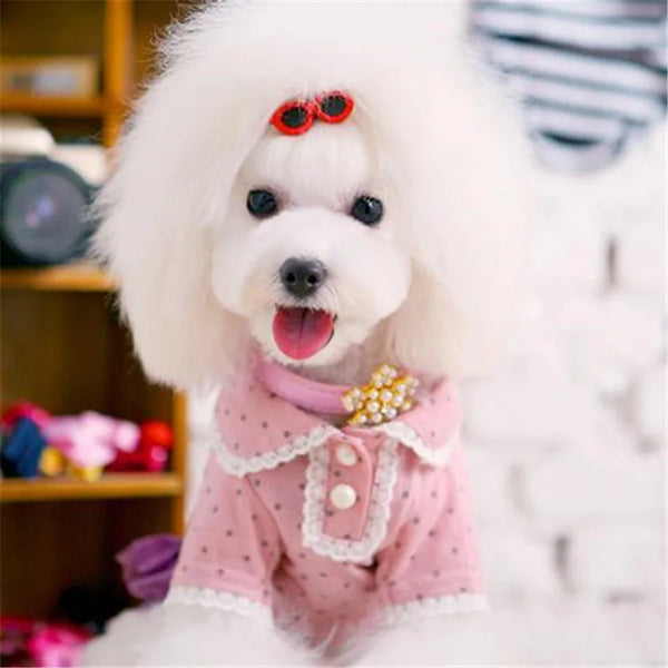 Pet Heart Sunglasses & Hair Accessories Set