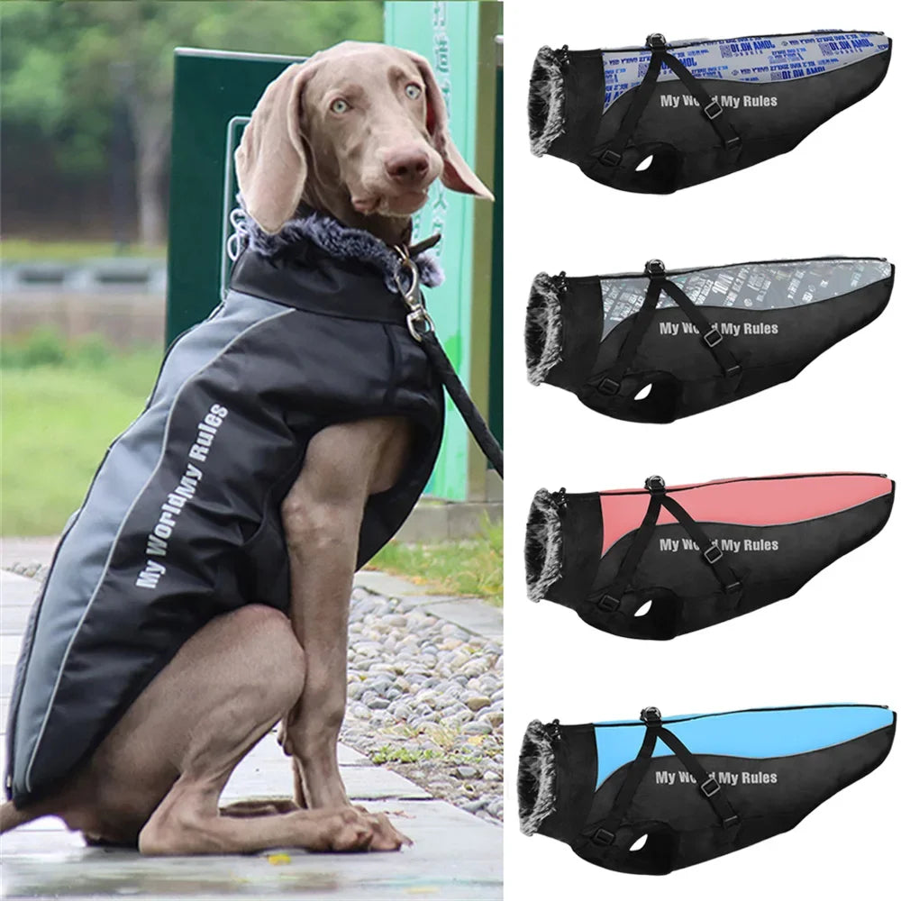 Winter Dog Coat with Fur Collar - Warm Jacket for Large Dogs