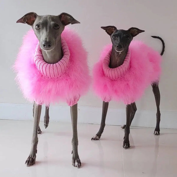 Cozy Dog Sweater - Warm Autumn & Winter Pet Apparel