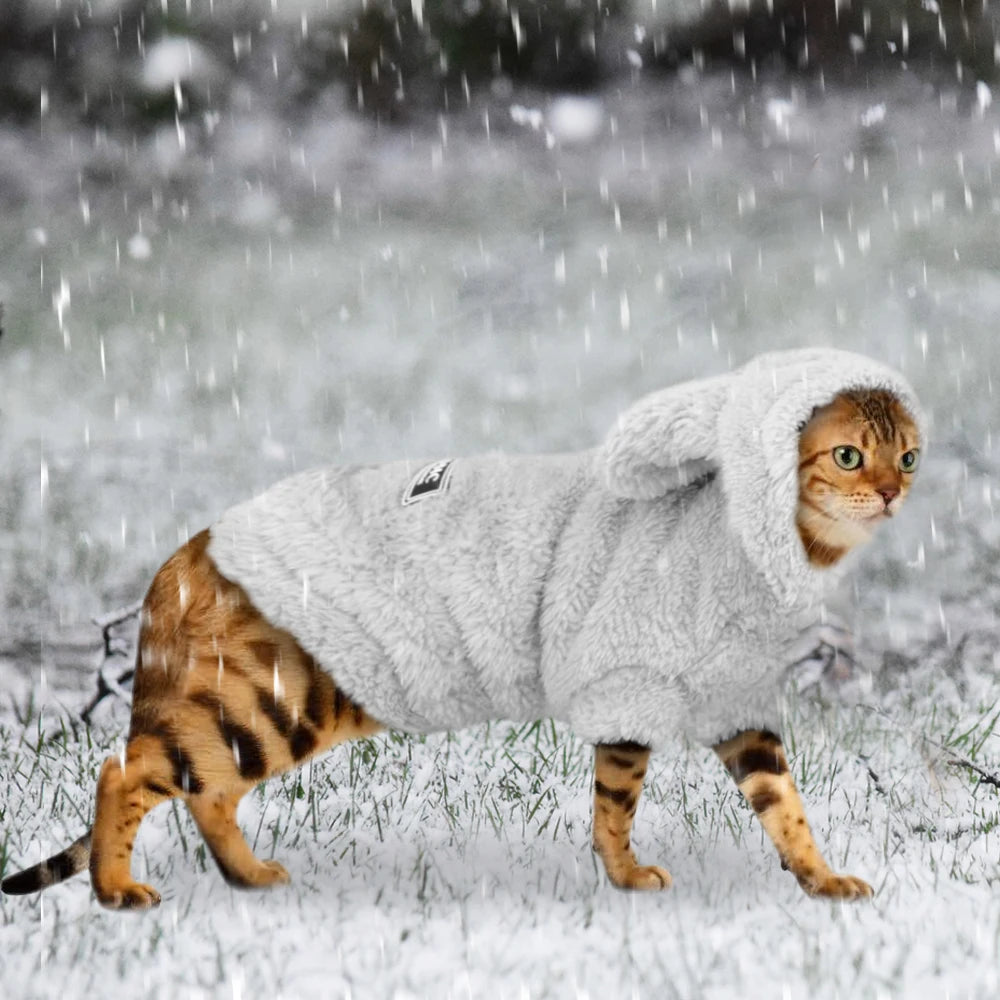 Cozy Winter Pet Coat - Soft Cotton Jacket for Small Dogs & Cats