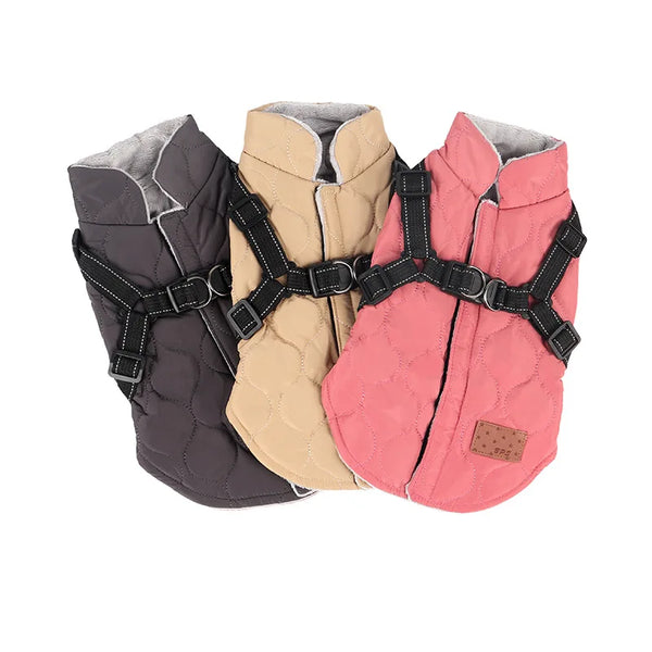 Windproof Winter Dog Coat - Padded Jacket for Small Dogs