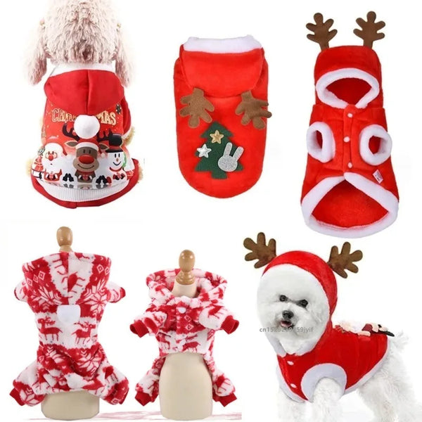 Festive Santa Costume for Dogs & Cats - Christmas Pet Apparel
