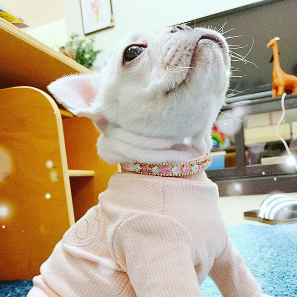 Luxury Pearl & Rhinestone Pet Collar - Elegant Necklace for Cats & Small Dogs