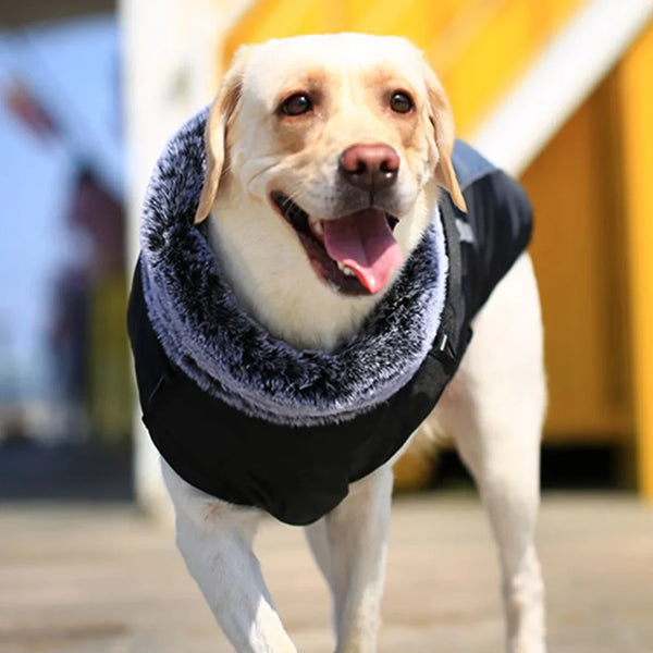 Winter Dog Coat with Fur Collar - Warm Jacket for Large Dogs