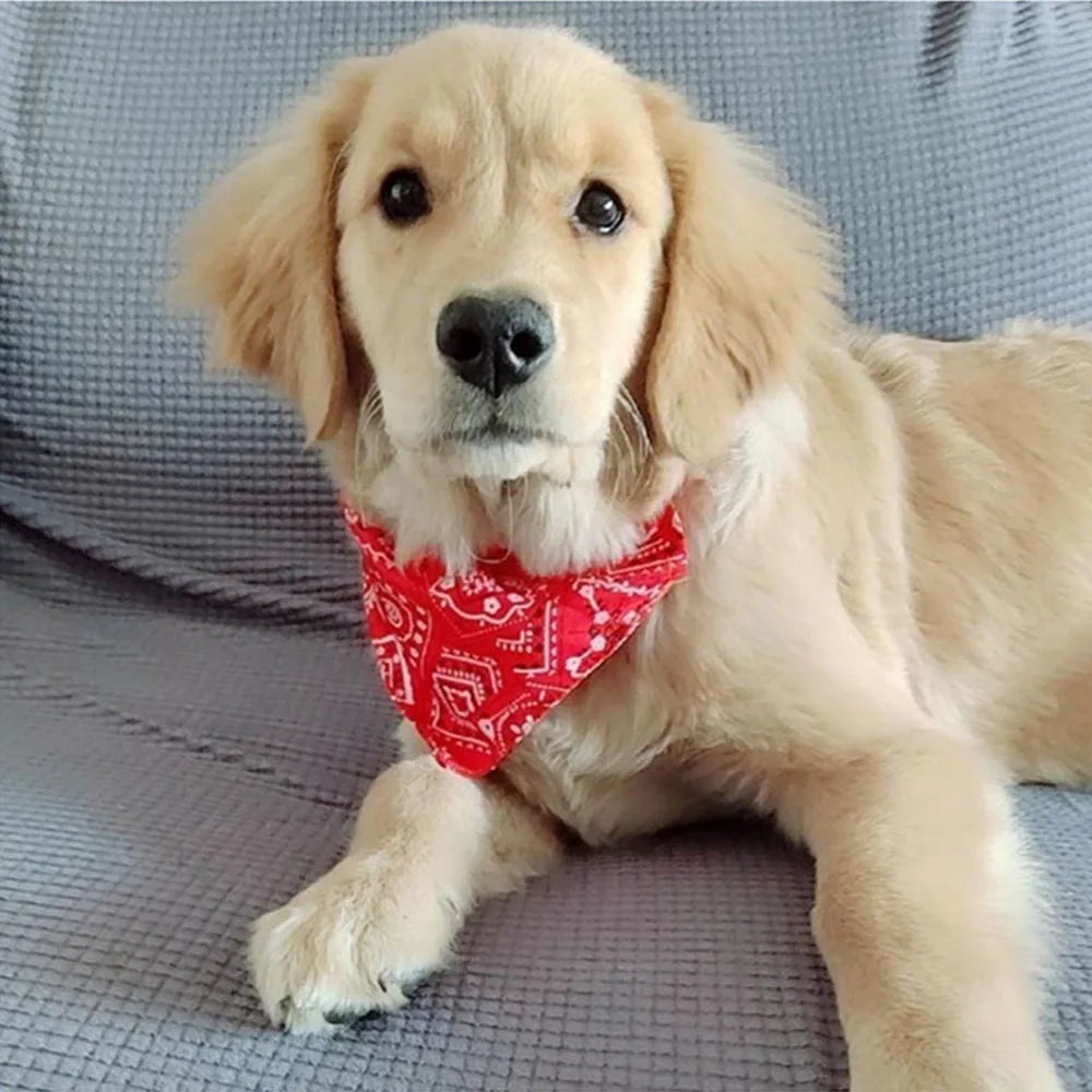Adjustable Dog Bandana Collar - Stylish Neckerchief for Small, Medium & Large Dogs