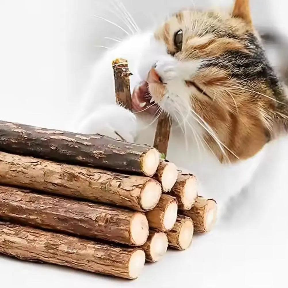 Natural Catnip Chew Sticks for Cats