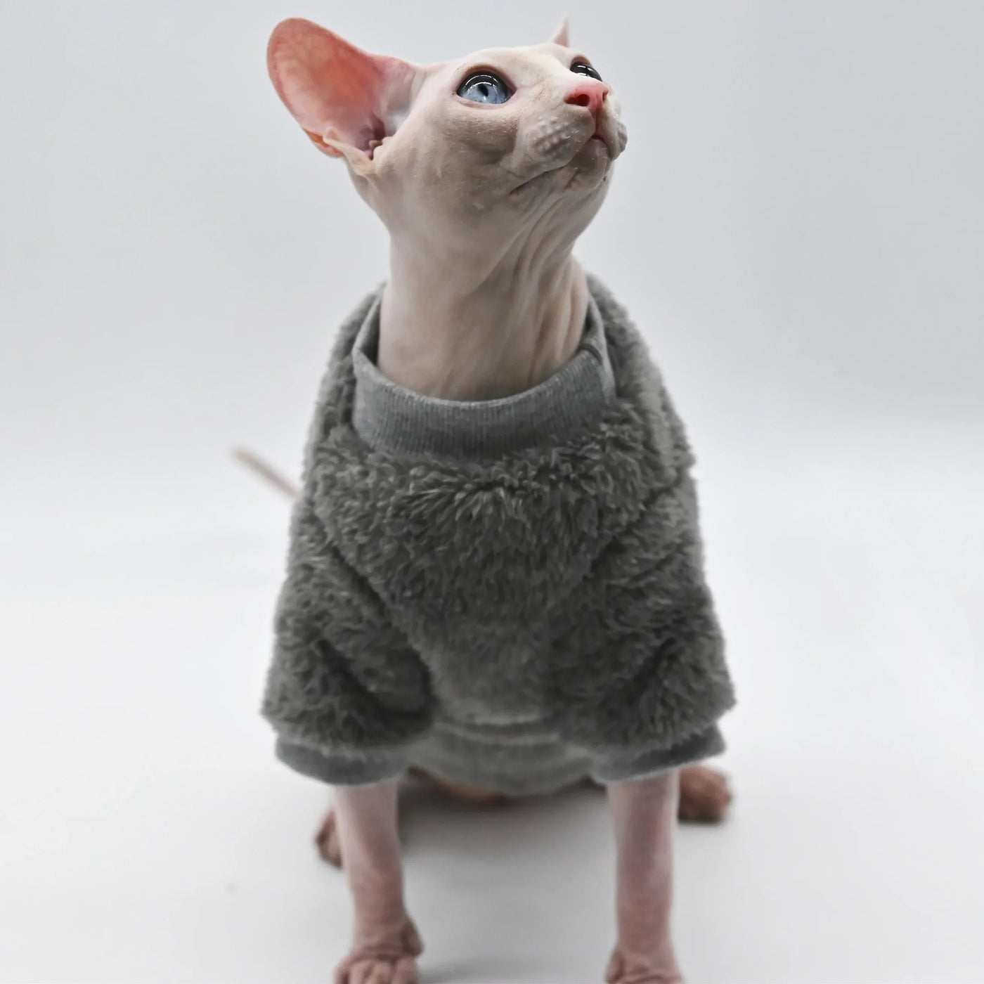 Soft Double-Sided Winter Cat Jacket - Warm Fleece Coat for Hairless Cats