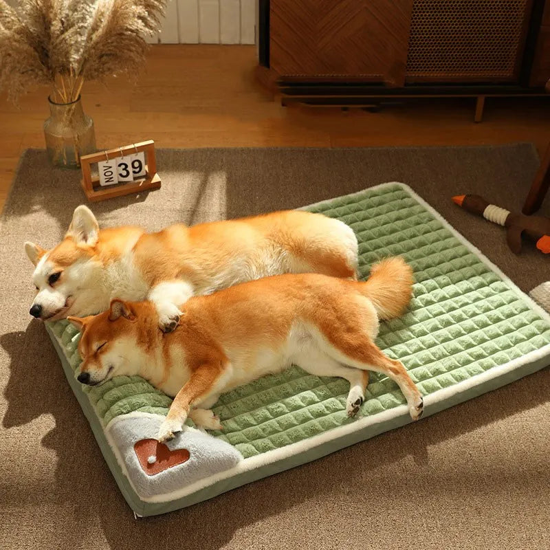 Orthopedic Dog Bed Mat - Cervical Spine Support with Removable Cover for Small to Large Dogs