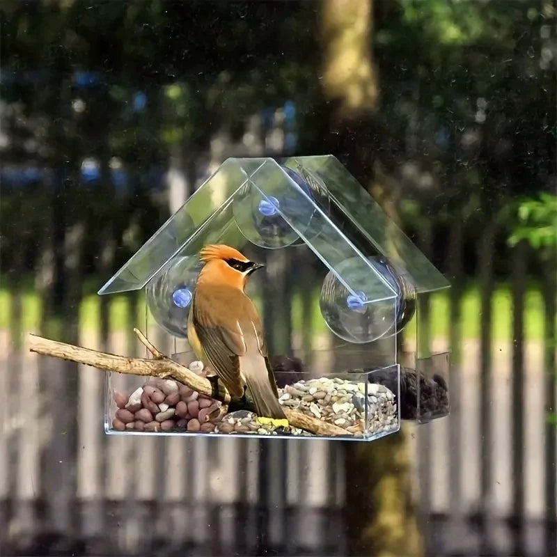 Clear Acrylic Window Bird Feeder with Suction Cups - Outdoor Wildlife Viewing